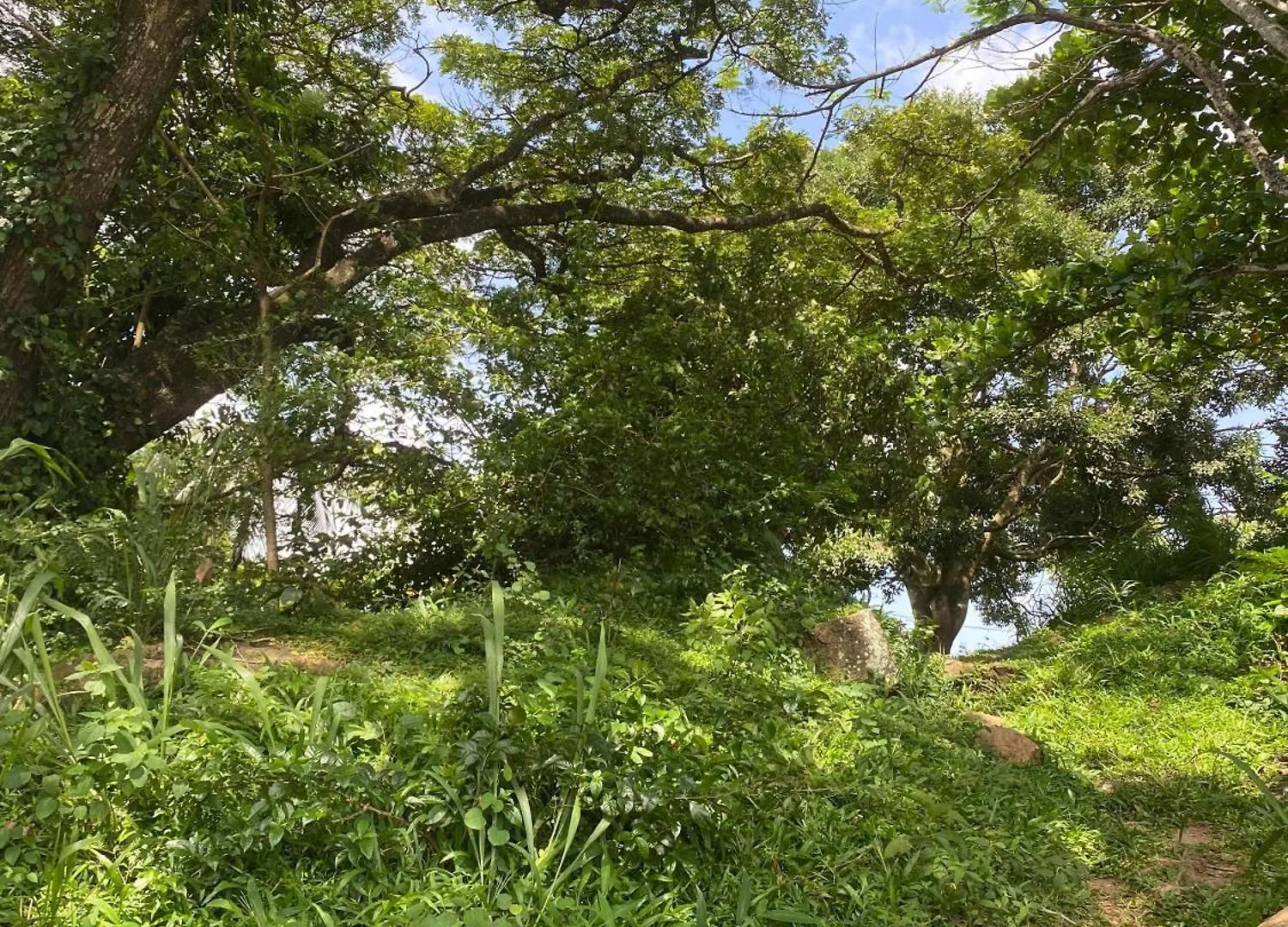 Mountain Breeze Uplands Villa Kandy